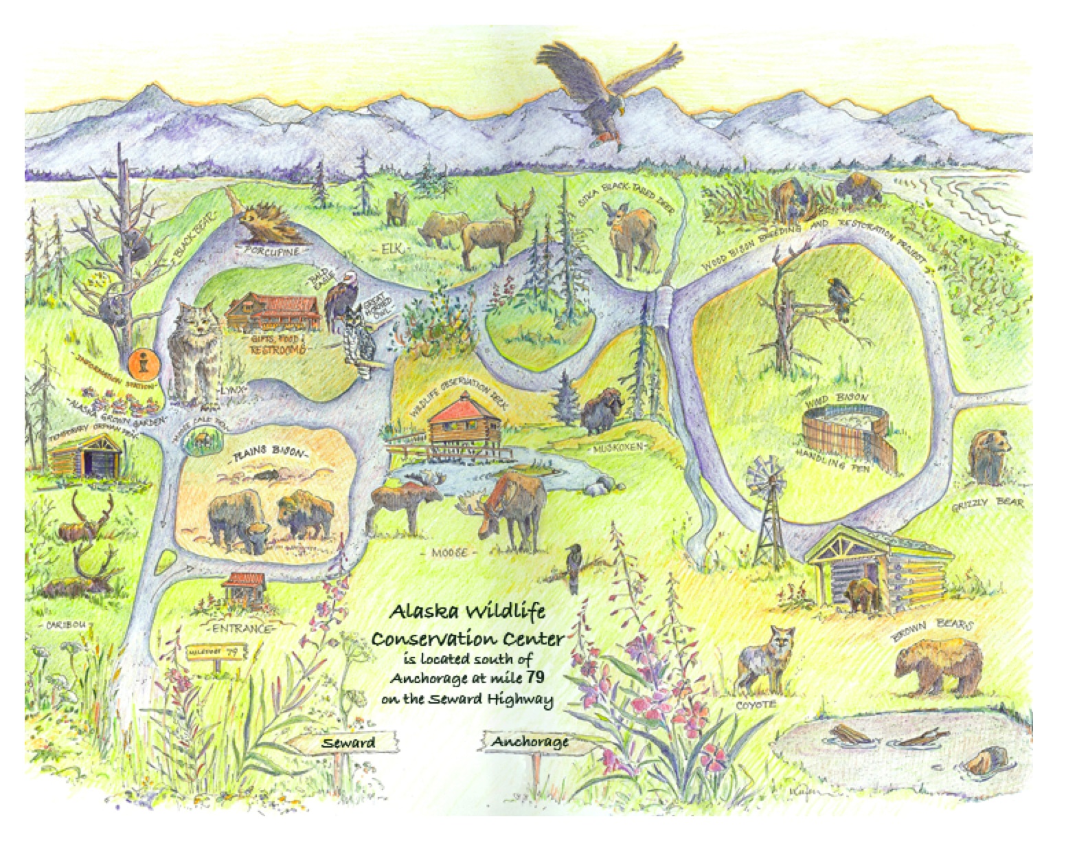 Alaskan Wildlife Conservation Center